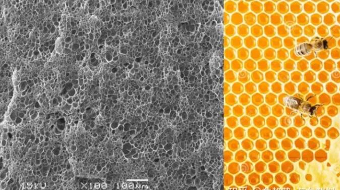epp發(fā)泡聚丙烯的顯微結(jié)構(gòu)，可以看到這是種連續(xù)閉孔結(jié)構(gòu)，類似于蜂窩